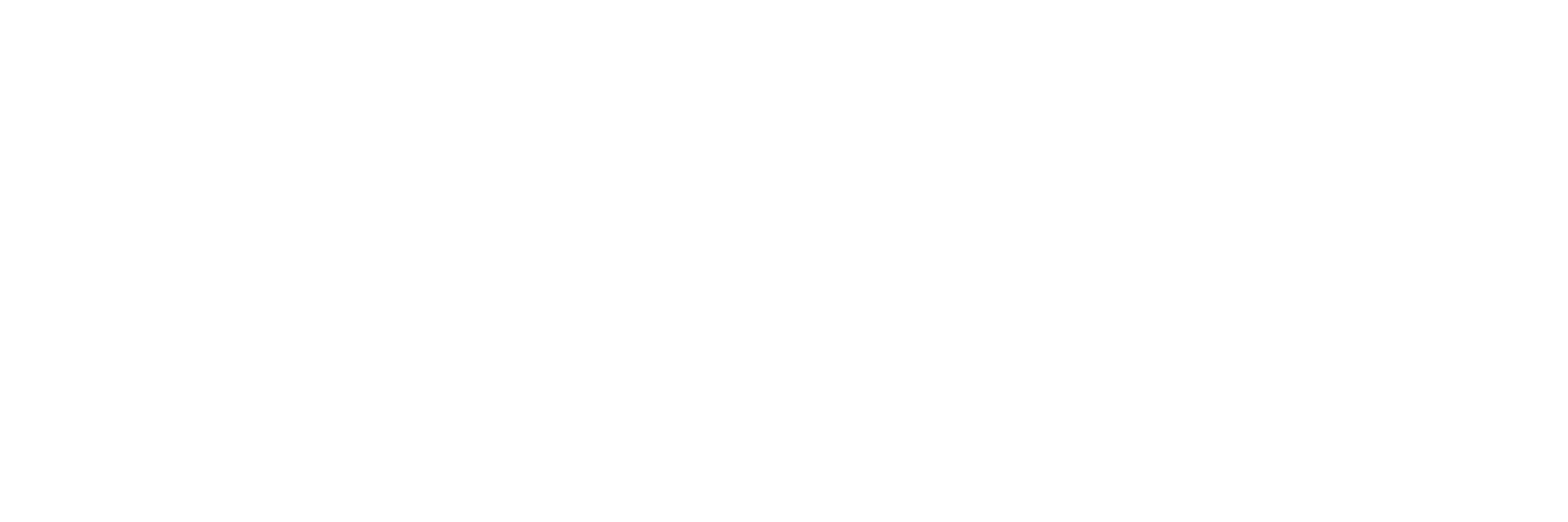 Merel Kosters